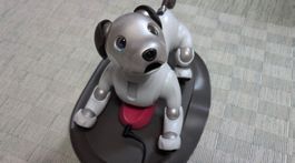 Sony Aibo Ers-1000 Roboterhund (2019)