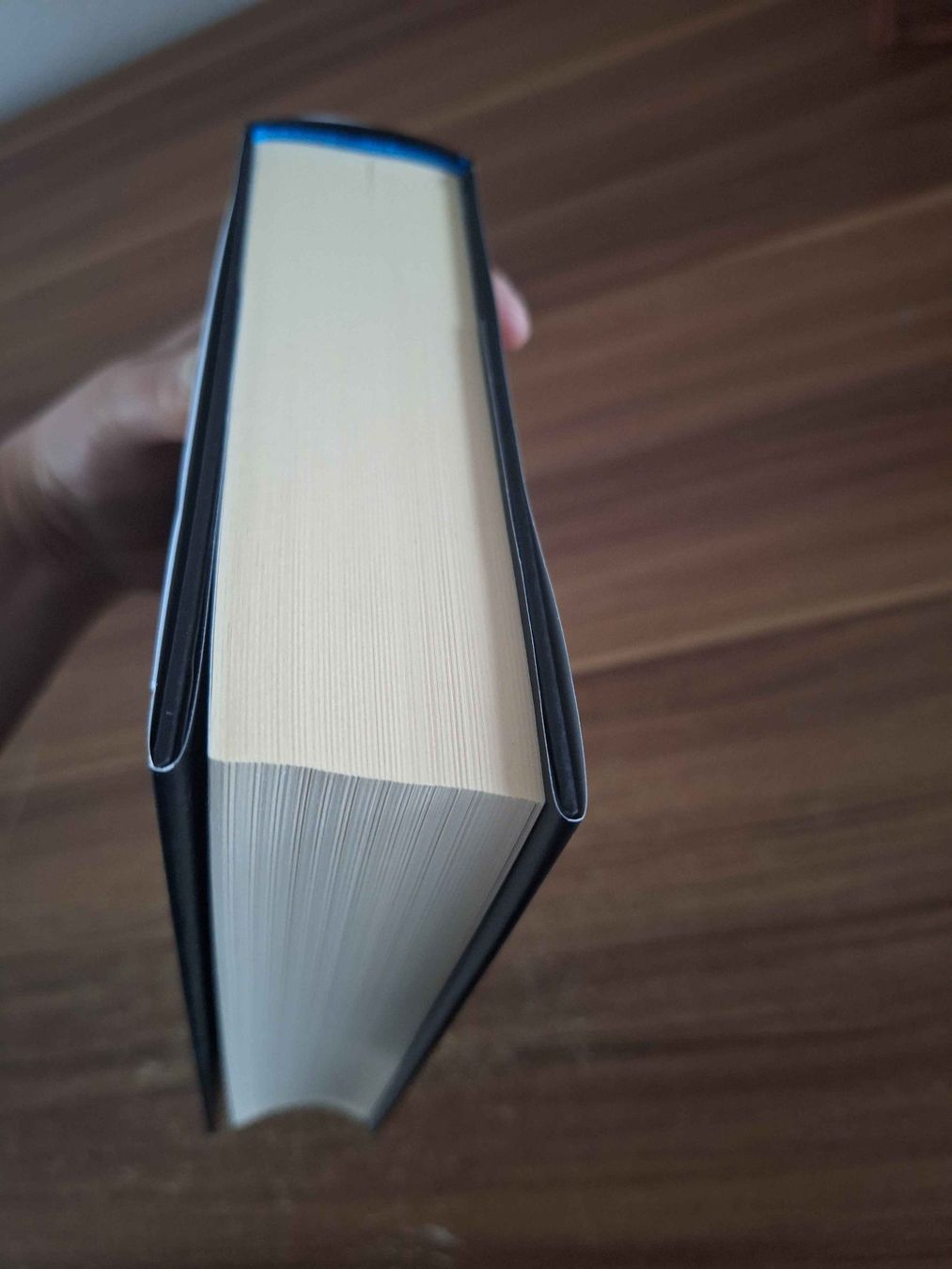 Libri: Das Erbe der Pandora Blake – Usato da Grenchen venduto da LadyCalis 2