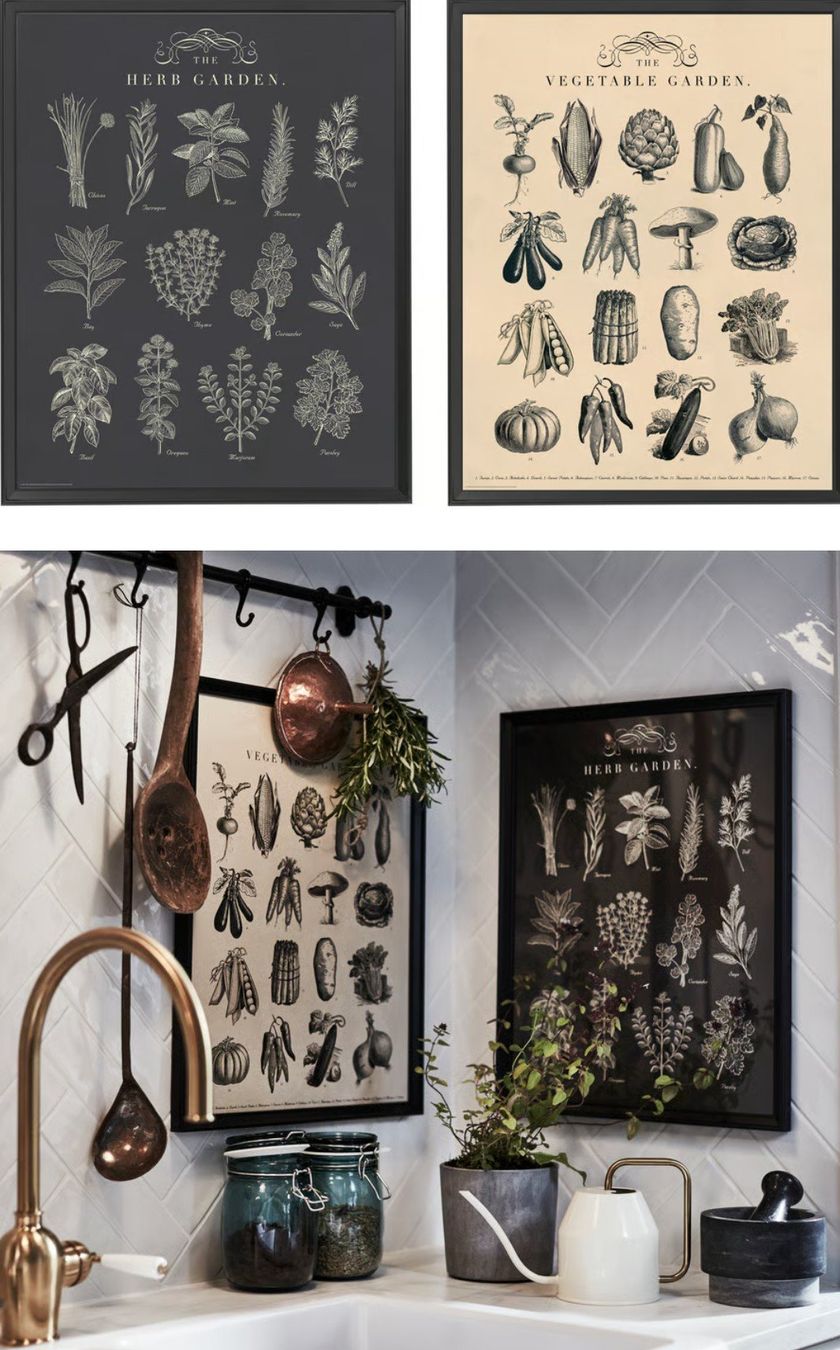 Foto & Immagini: Ikea Gemüse / Kräuterbilder – Usato da Wittenbach venduto da buddy91