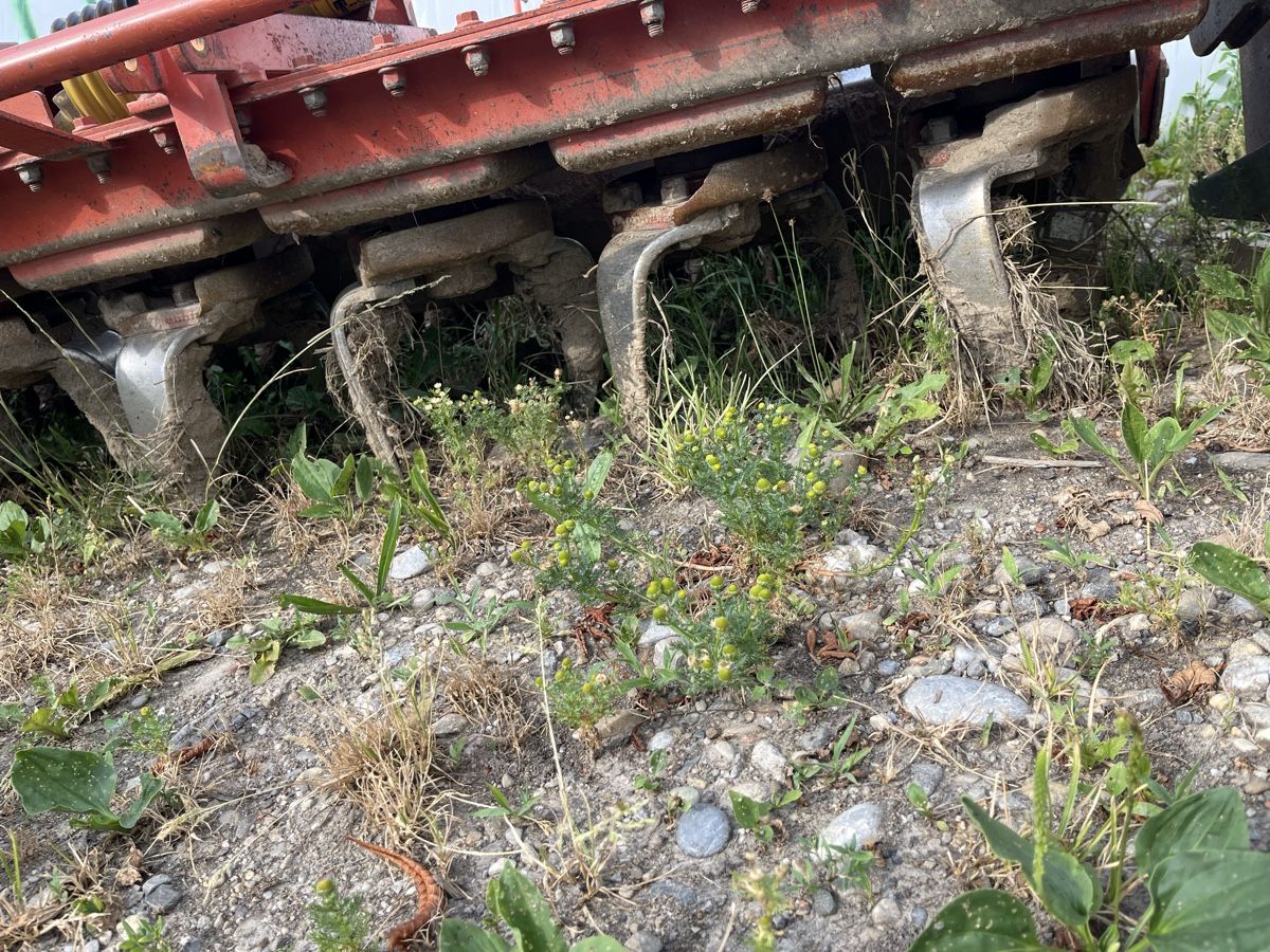 Tutte le macchine: Kreiselegge Kuhn HR 4002 – Usato da Willisau venduto da Schumi00 5
