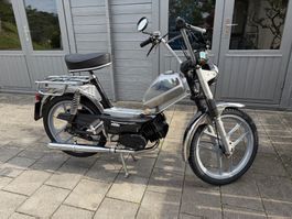Pony 503 GTX KTM