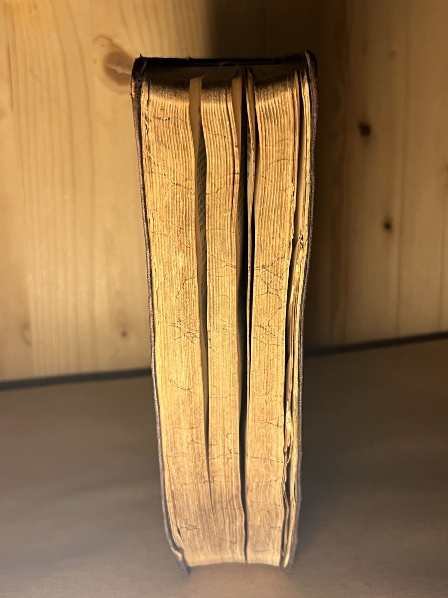Libri: Alte Luther-Bibel 1907 – Usato da Muralto venduto da dan_pf8r 2