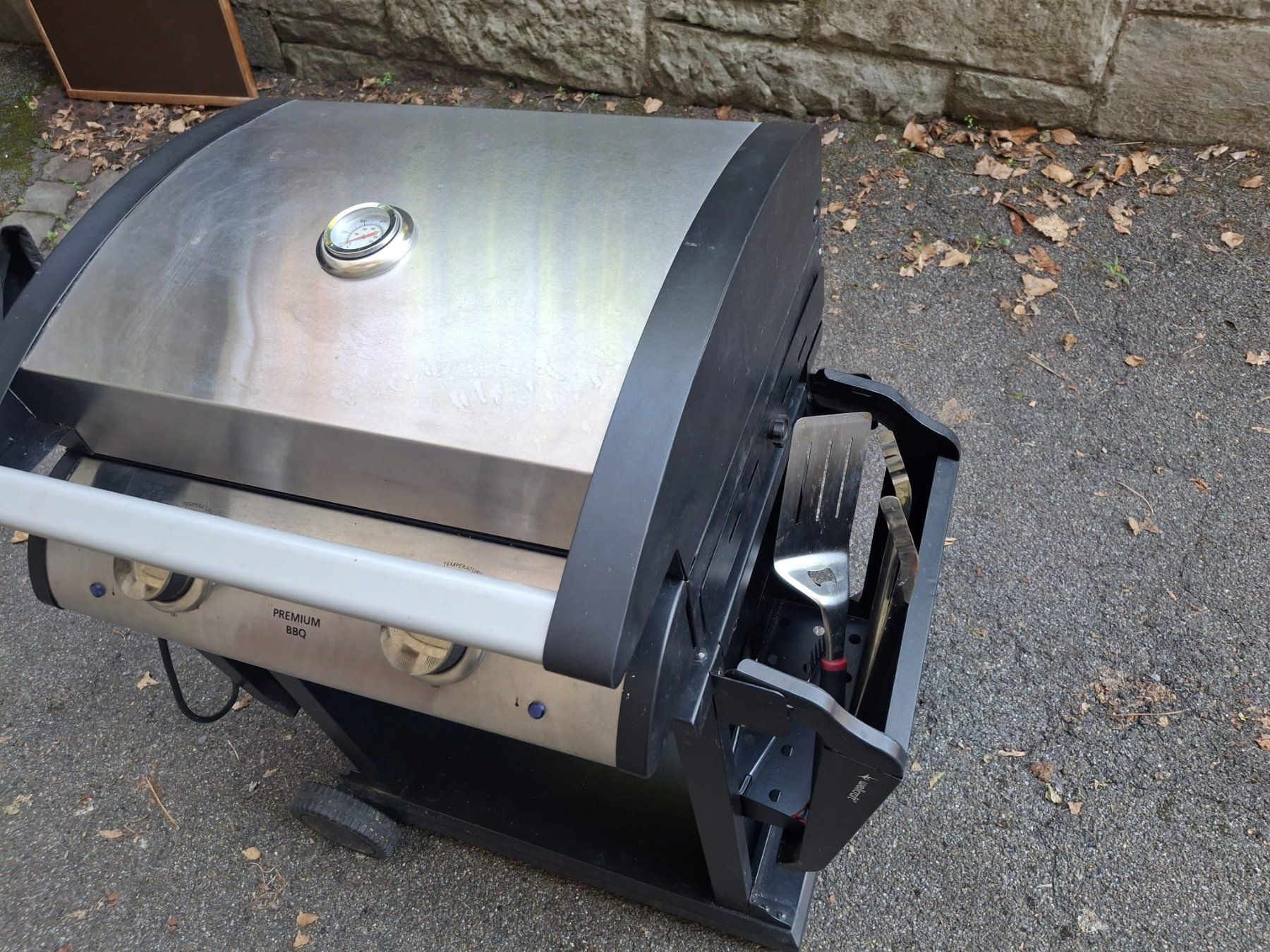 Griglie: Barbecue électrique Wellcraft Premium BBQ – Usato da Küsnacht ZH venduto da phap 5