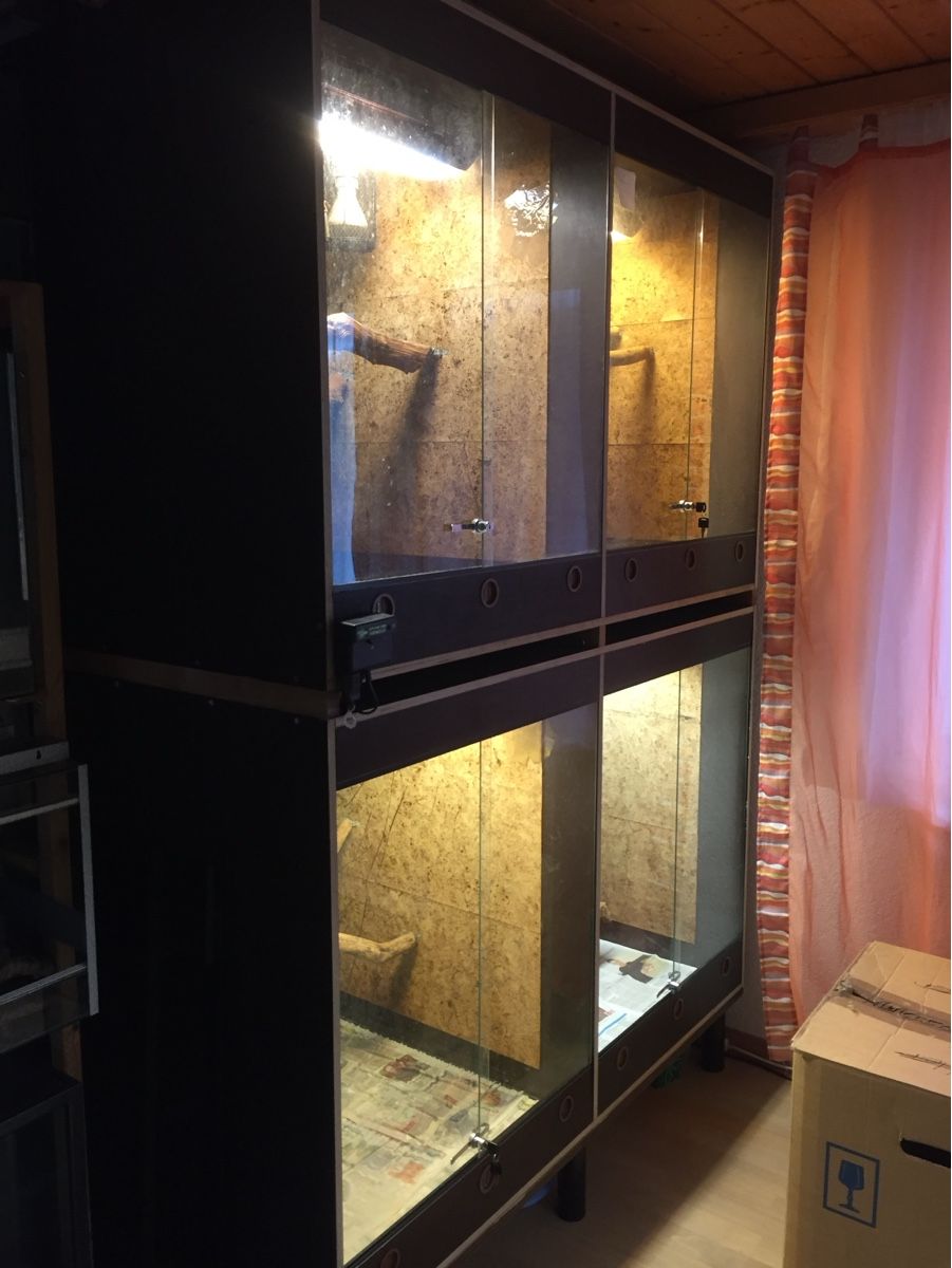 Terrario: Grosser Terrarienturm  – Usato da Schalchen venduto da kwadelschnut