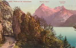 Partie an der Axenstrasse
