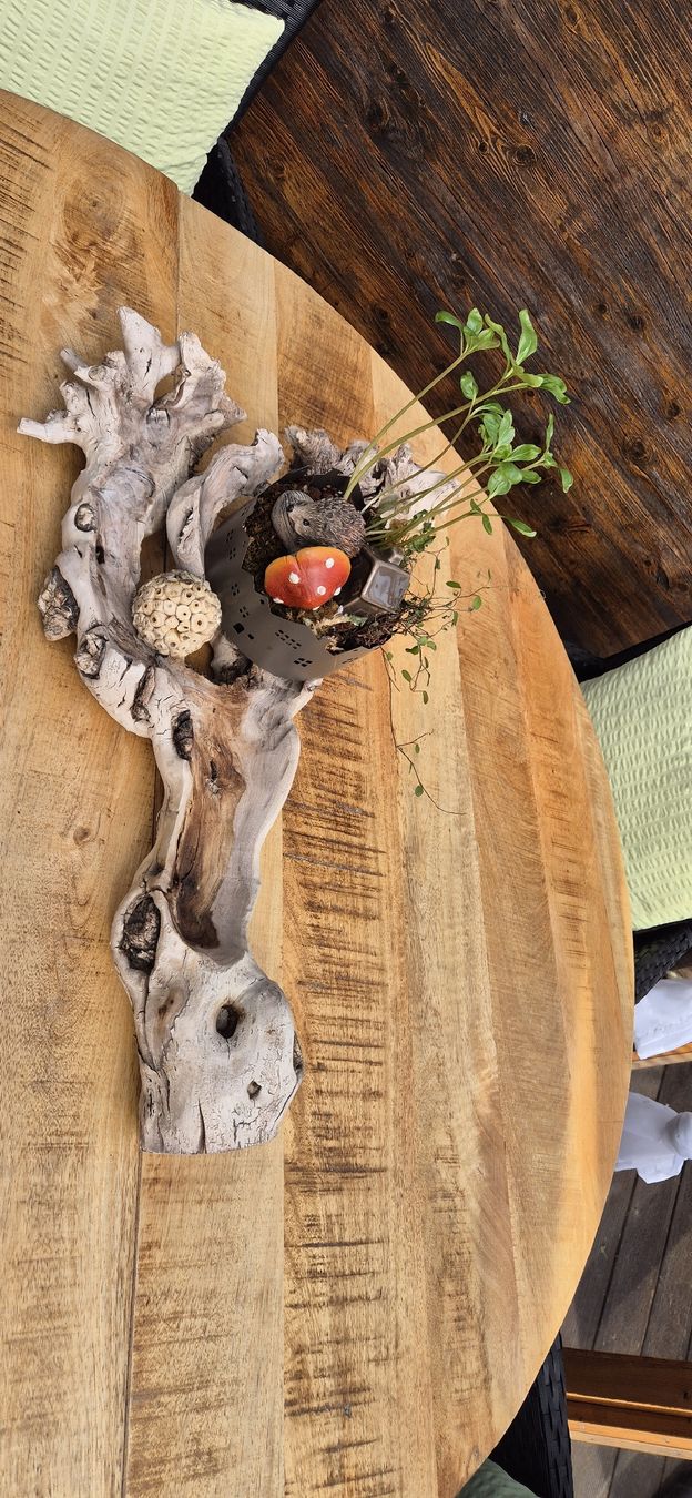 Articoli in legno: Wurzel – Usato da näfels venduto da vrenit