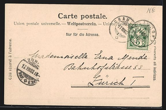 Cartoline postali: AK Chaumont /NE, Ortspartie mit Kuhweide – Usato da Berlin venduto da bartko-reher 1