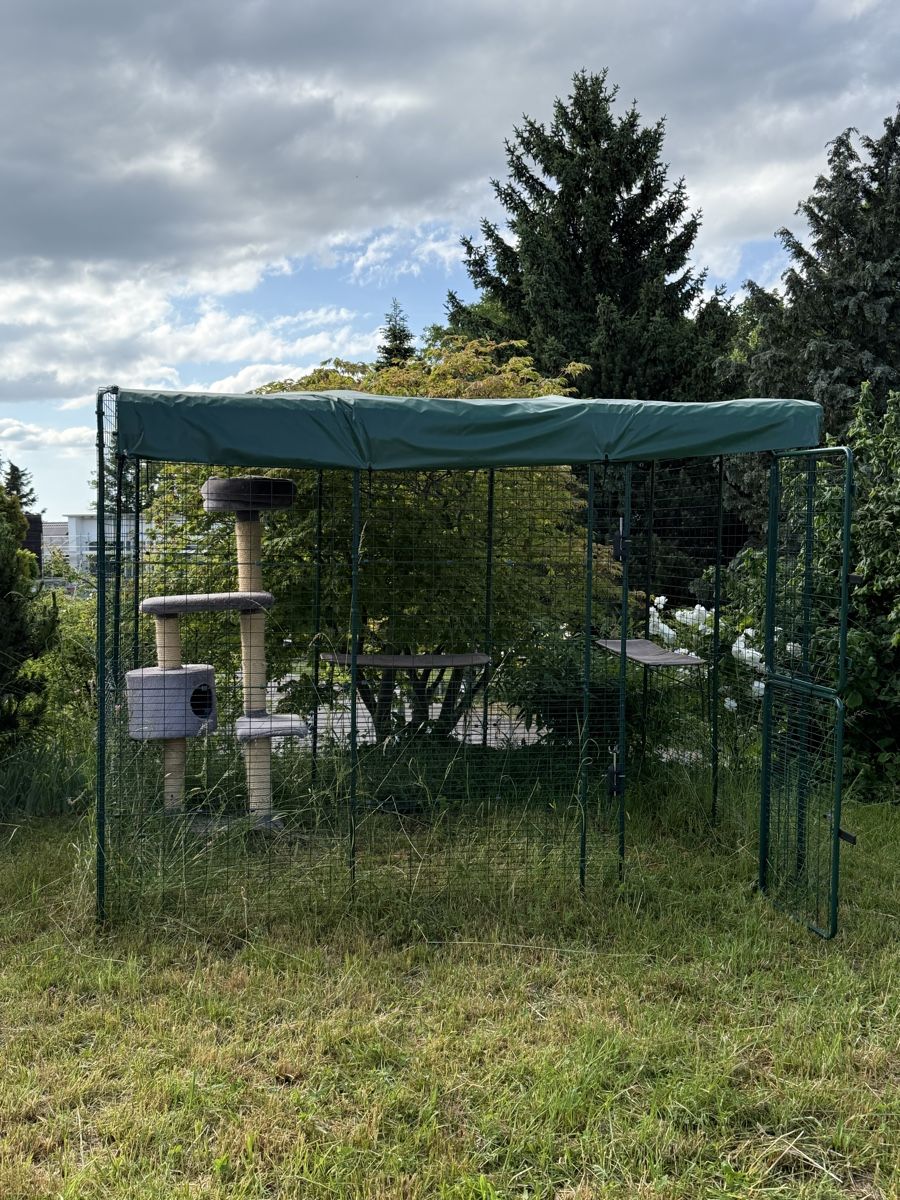 Omlet Gabbie, trasporto & Sicurezza: Omlet Gehege Käfig Katzen Kleintiere – Usato da Kirchberg SG venduto da dpRepairs 1