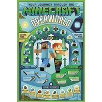 Poster Minecraft Overworld Biome