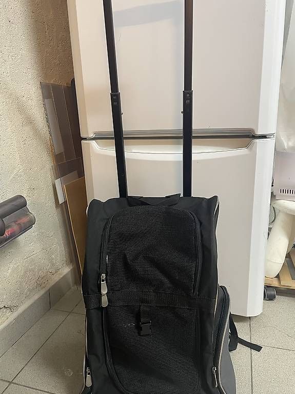 Valigie & Borse: Trixie Trolley – Usato da Giubiasco venduto da Deby01 3