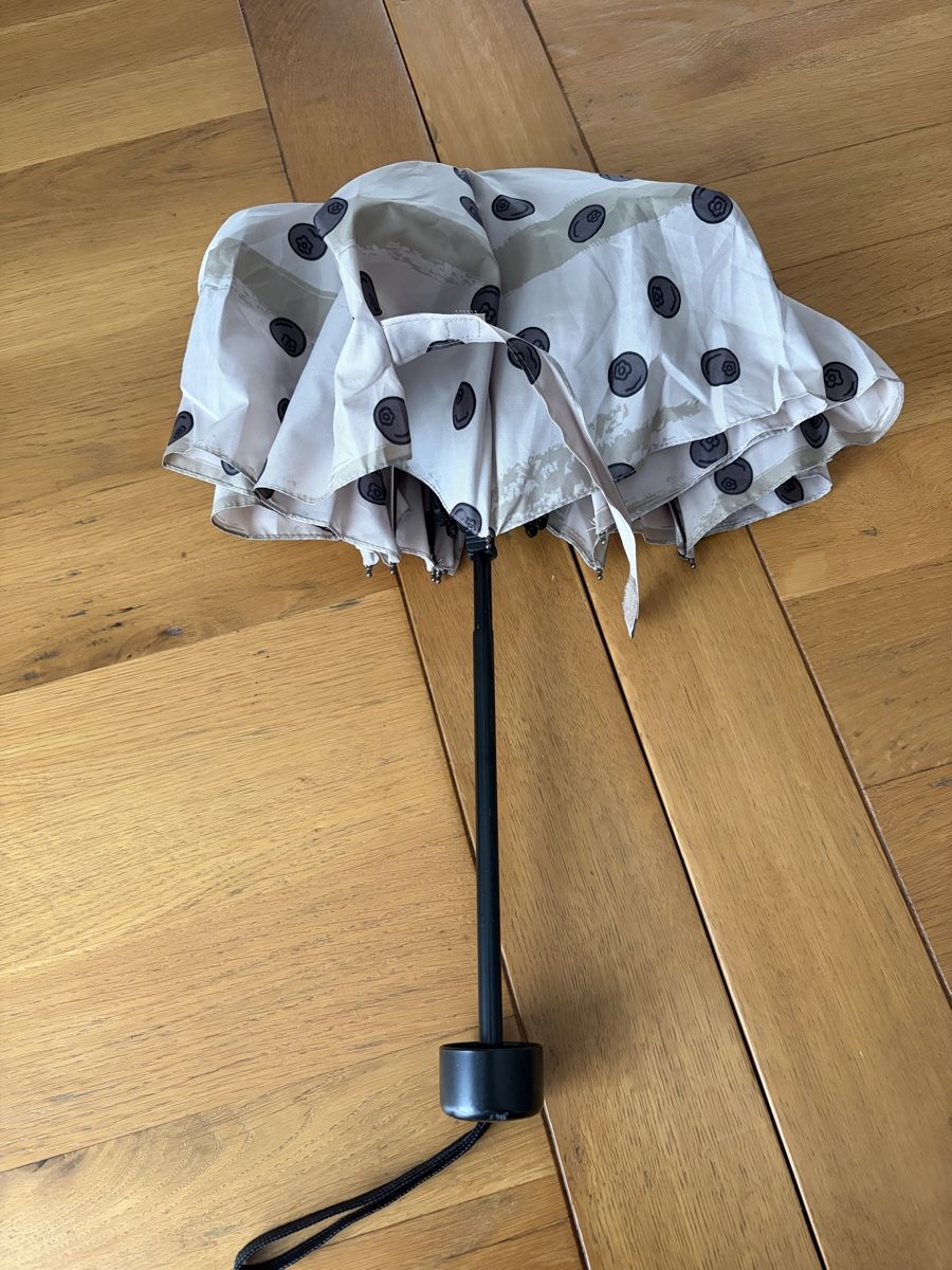 Regenschirme: Mini-Taschenschirm mit Blaubeeren – Gebraucht aus Lützelflüh-Goldbach von Jungle_Julia 1