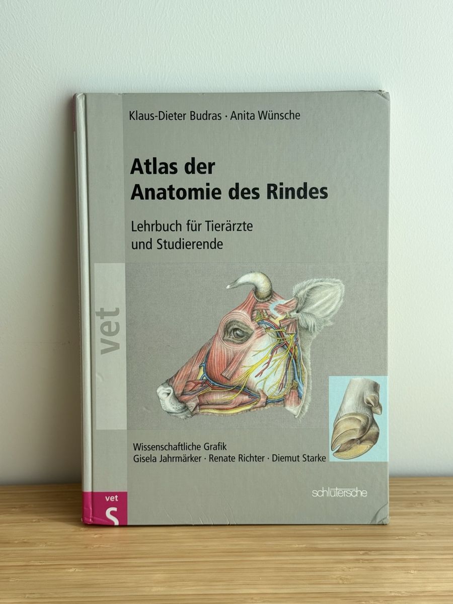 Libri: Atlas der Anatomie des Rindes – Usato da Neuhausen am Rheinfall venduto da Laghi