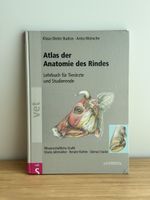 Atlas der Anatomie des Rindes