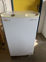 Gefrierschrank Primotecq TF 080.4-IB 65 Liter weiss