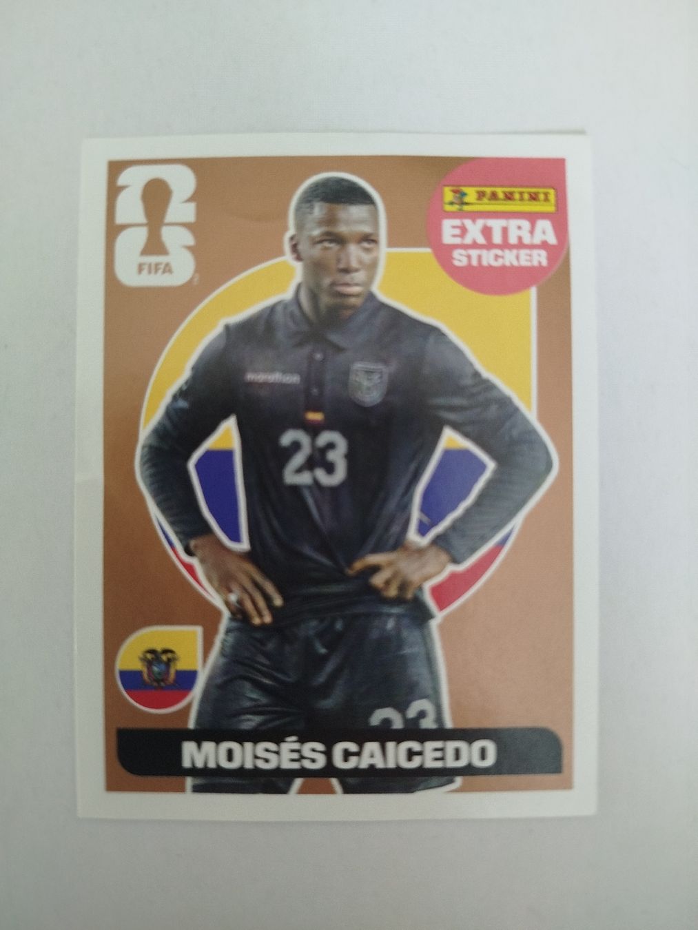 Panini Carte collezionabili: Panini Moises Caicedo Extra Sticker Bronze – Usato da Wettingen venduto da mirna04