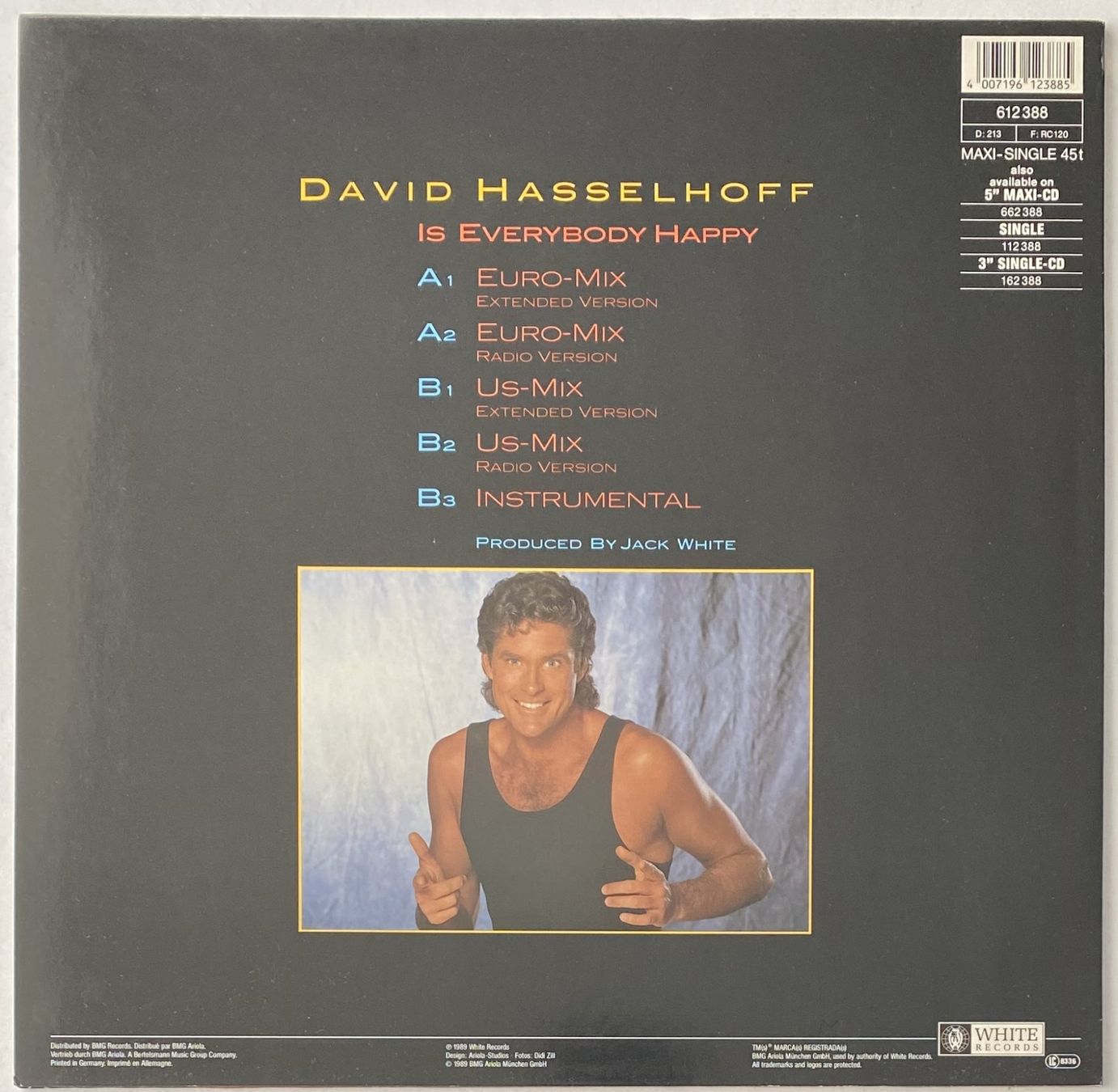Dischi in vinile: David Hasselhoff, Is Everybody Happy – Usato da Flums venduto da Empe1 1