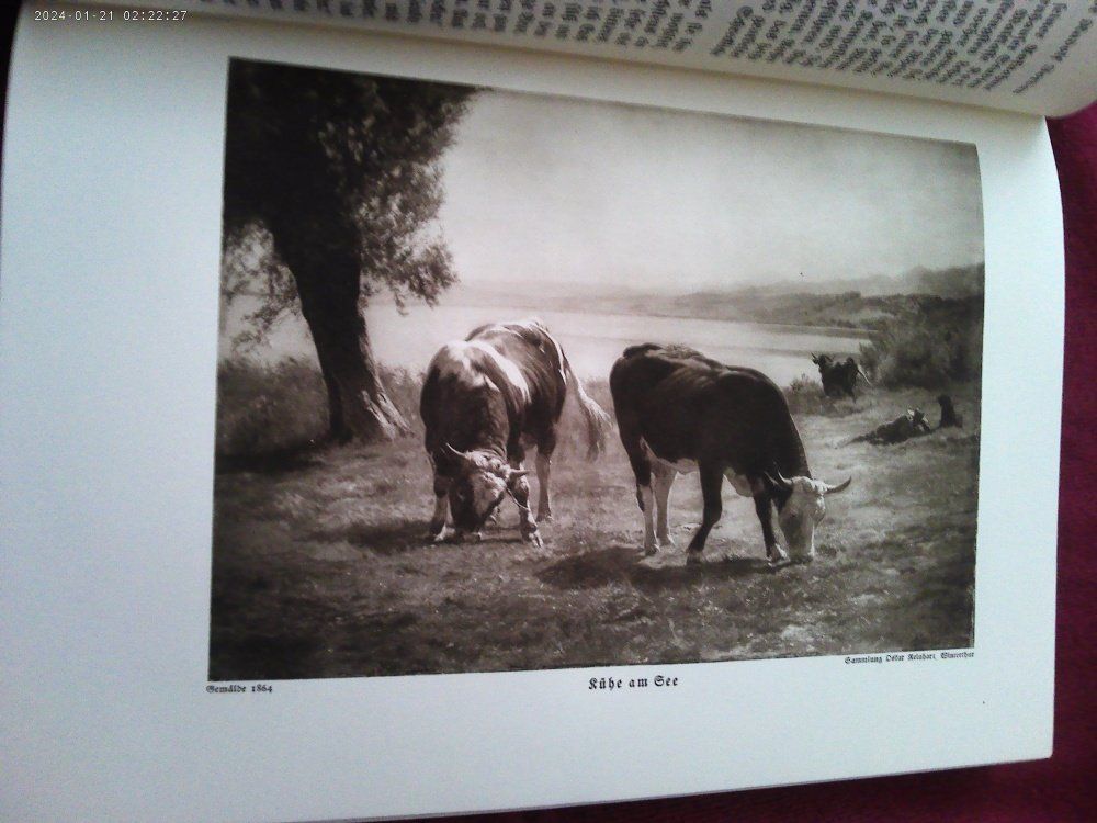 Bücher: Buch: Adolf Frey - Rudolf Roller, Tiermaler, 1828-1905 – Gebraucht aus Volketswil von nemo2000 3