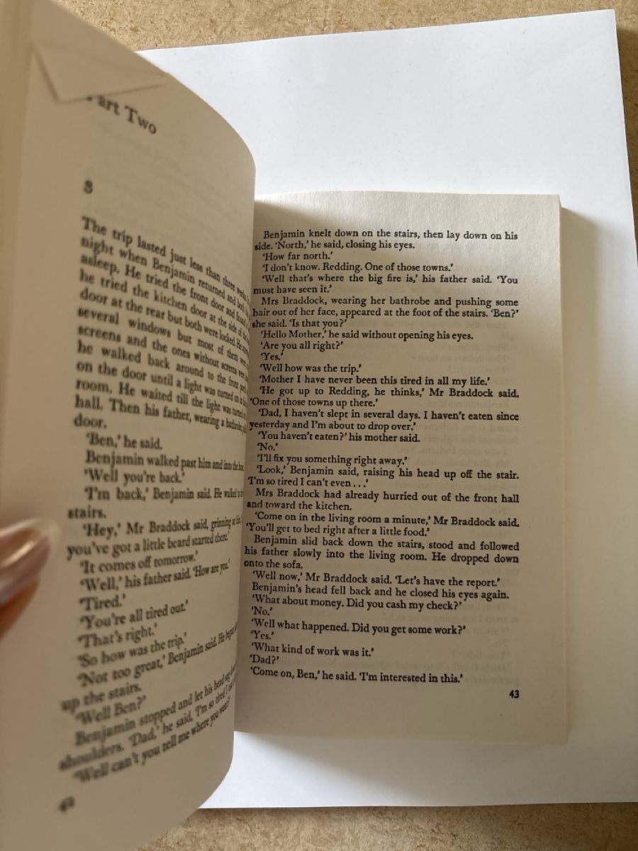 Libri: Charles Webb The Graduate – Usato da Dörflingen venduto da liviaaa.w 2