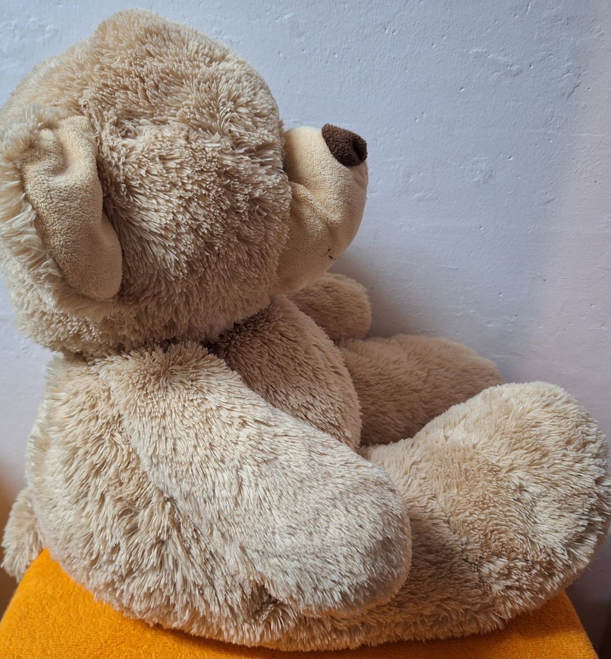 Giocattoli: Kuschel Bär, 63cm beige – Usato da Muri AG venduto da Edlerweiss 2