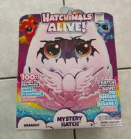 Hatchimals Alive! Mystery Hatch!!! NEU!!!