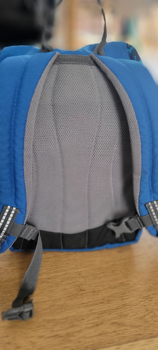 Borse & Zaini: Deuter Kinderrucksack – Usato da Dintikon venduto da kaki-7 1