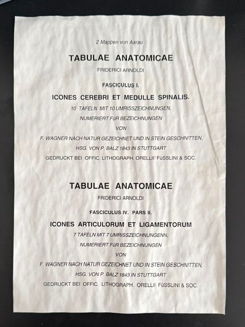 Grafica & Litografie: Zwei Lithographien "Tabula Anatimicae" v. Frederici Arnoldi – Usato da Lostorf venduto da Nick1258 1
