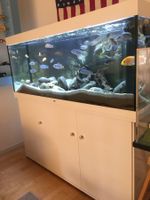 Juwel Aquarium 450Liter in Weiss