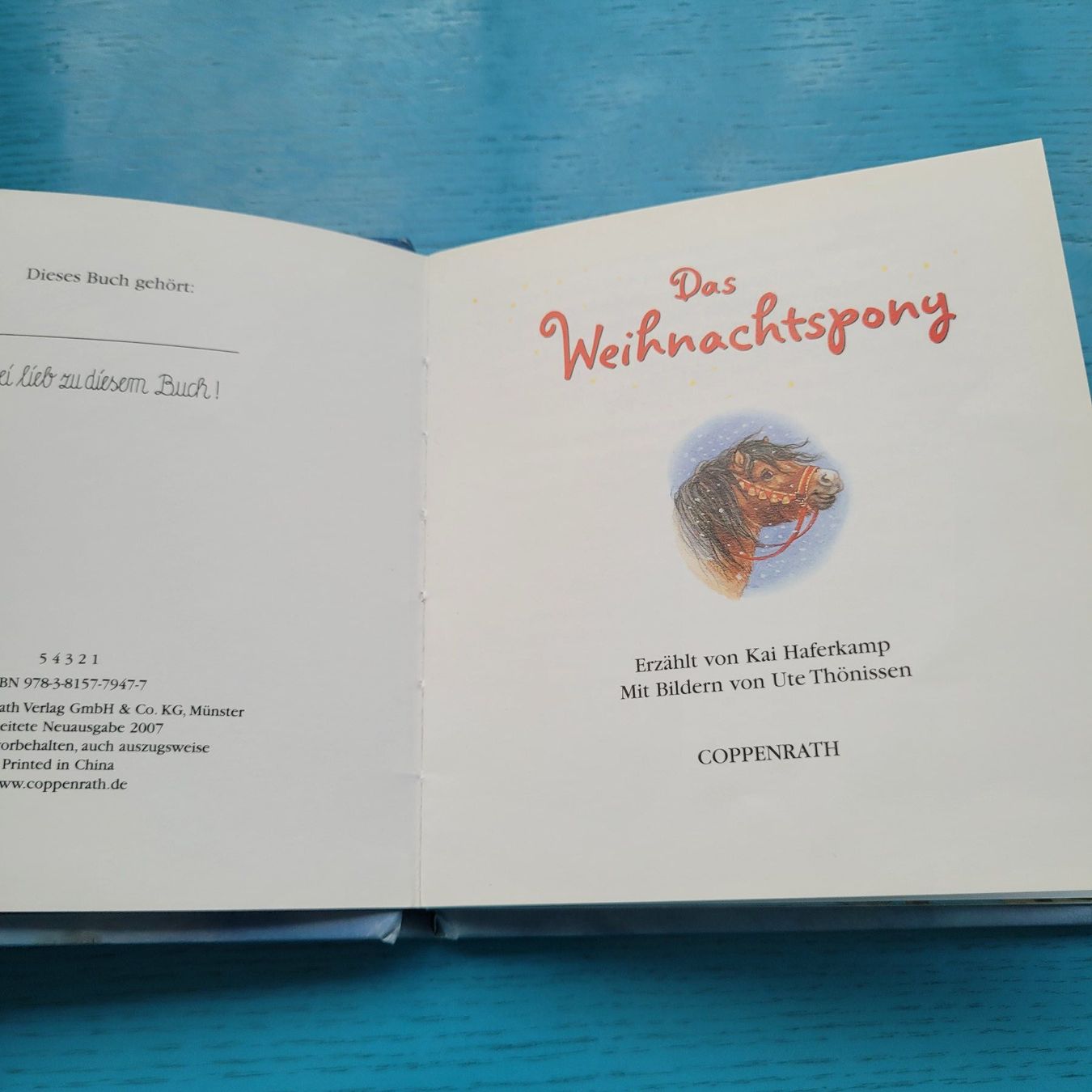 Libri: Das Weihnachtspony - Kai Haferkamp – Usato da SCHÜBELBACH venduto da CoKaHa 1