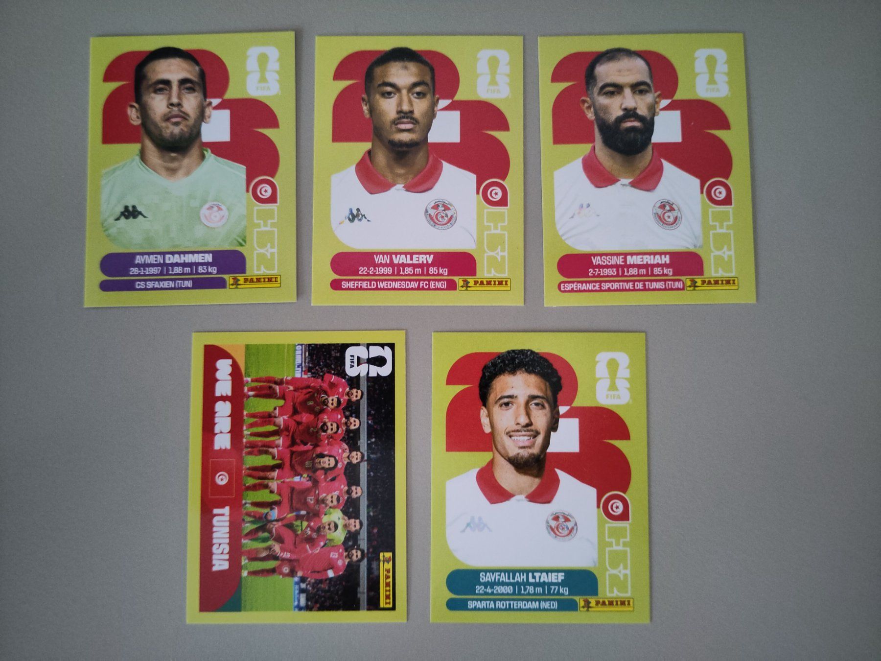 Panini Carte collezionabili: FIFA Panini Tunisia (TUN) – Usato da Bern venduto da gil_rkx8