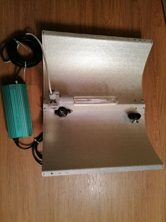 Sodium intelligence overview