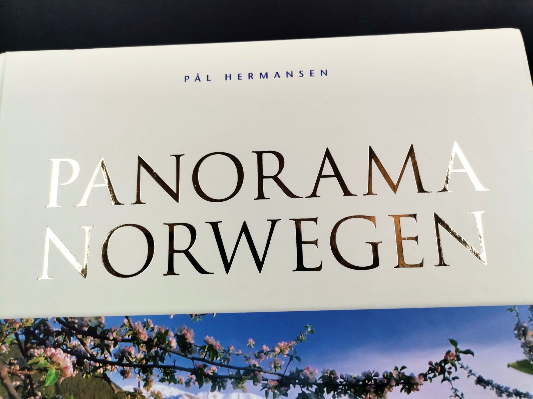 Libri: BUCH Panorama Norwegen – Usato da Schaffhausen venduto da Restwert_SH 7