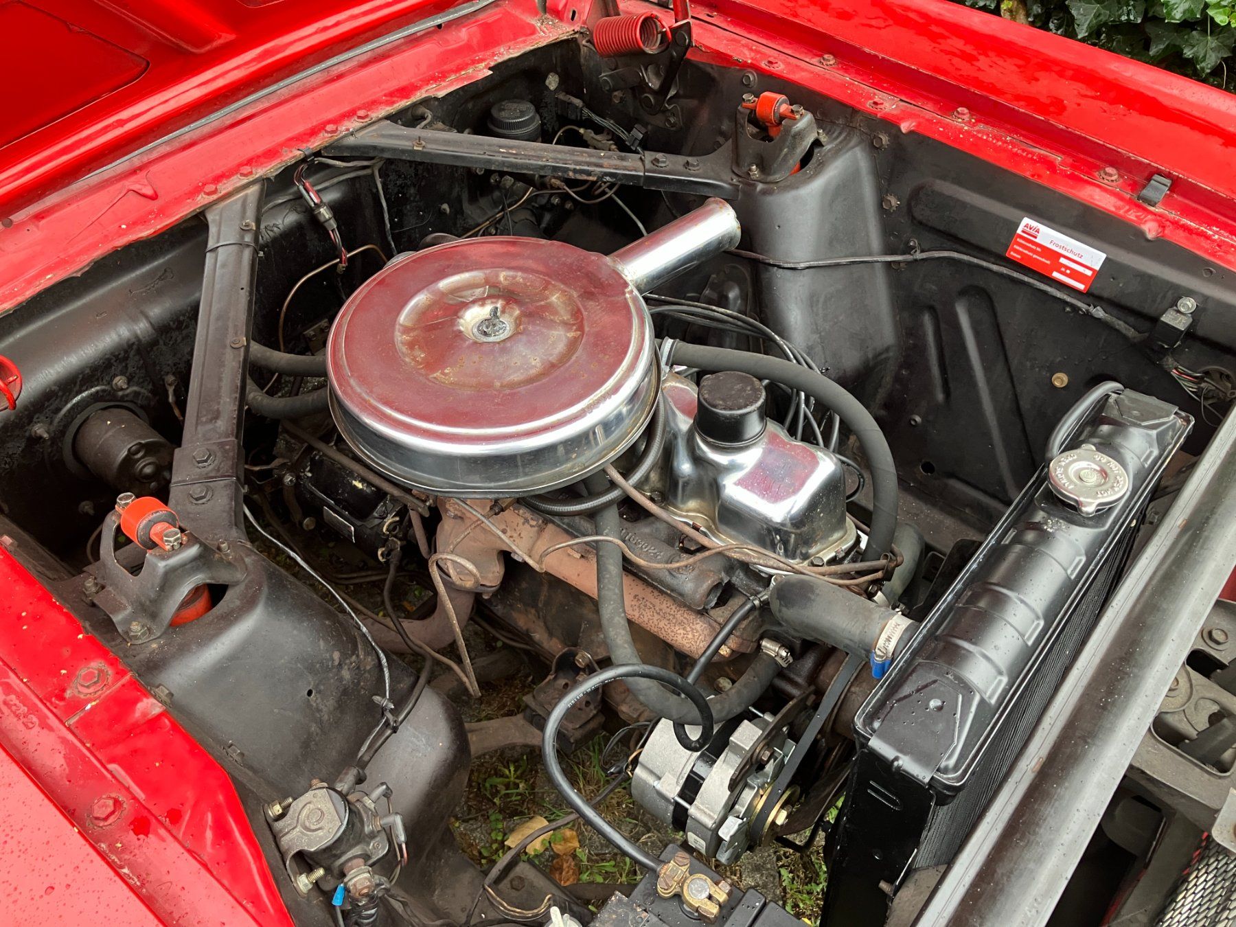 1965 Ford Mustang Coupe (Gebraucht) in Wallisellen für CHF 25000 – nur ...