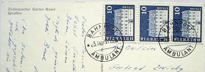 Cartes postales: BASEL Zoo Giraffen - Stempel Bahnpost – D'occasion à Jona par philajona 1
