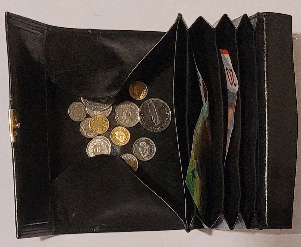 Portafogli: Portemonnaie – Usato da Zürich venduto da Avd 2