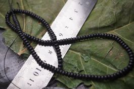 Turmalin   Schwarz   Strang  4,5mm –Lot Adlun-