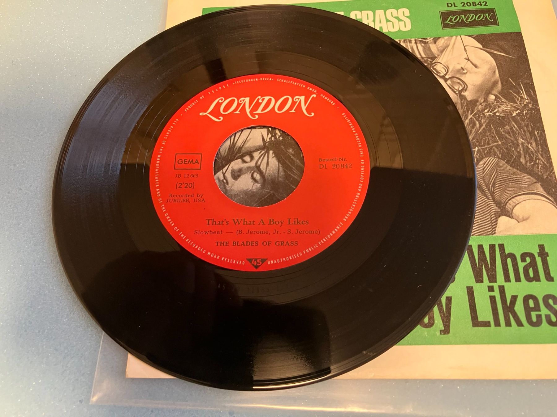 Dischi in vinile: The Blades Of Grass – Usato da Aarwangen venduto da Jukebox3 4