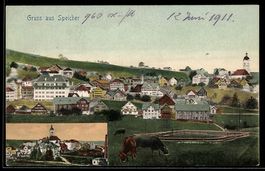 AK Speicher, Ortsansicht mit Kirche und Kühen