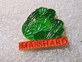 Ansteckpin 19: Masshard