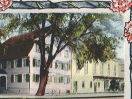 ESCHLIKON: 3Bild-AK mit Konsum und Rest. Eisenbahn 1916