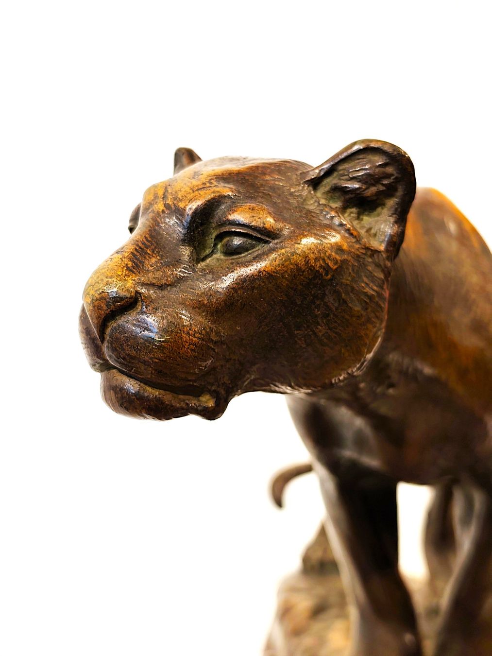 Sculture & Statue: Antike Bronze Löwin – Usato da Zürich venduto da Top-Deal-Schweiz 3