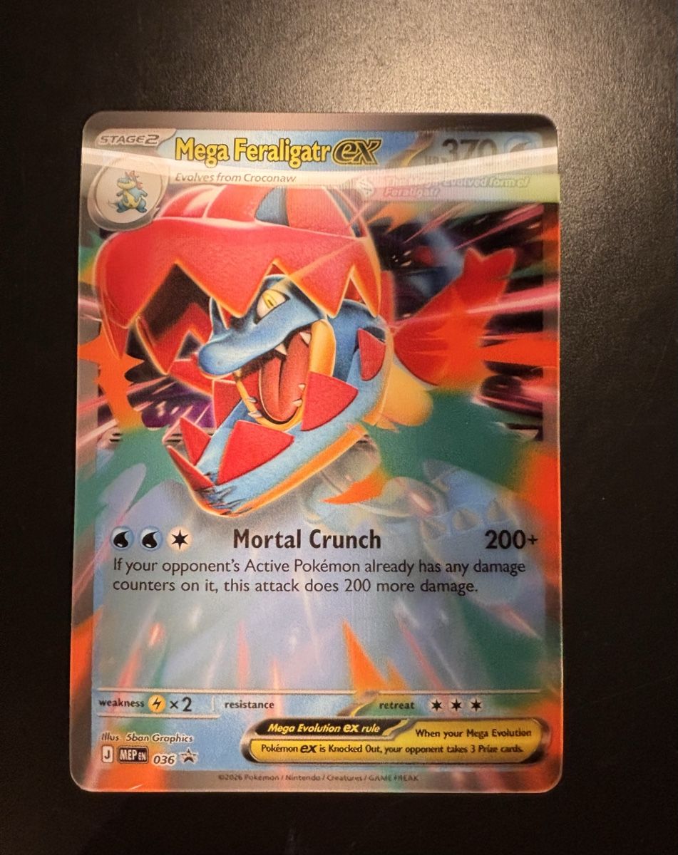 Pokémon Carte collezionabili: Some ex jumbo lenticular cards promos – Nuovo (secondo la descrizione) da Ascona venduto da ElfieLove 3