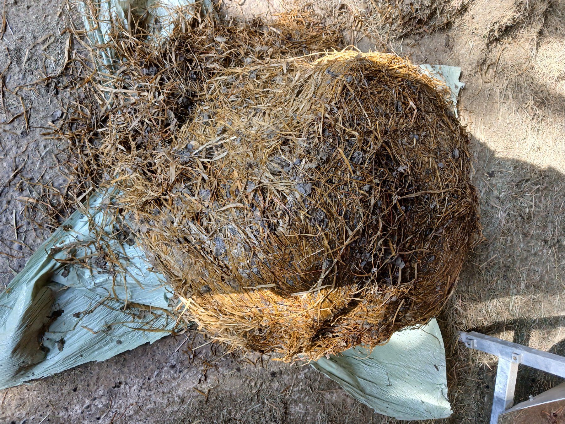 Mangimi: Gras Siloballenfür Pferde, Ziege , Schafe – Nuovo e nell'imballaggio originale da Mellingen venduto da Lambo850 1