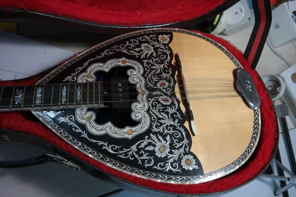 Original 8 String Griechische Bouzouki Kaufen auf Ricardo