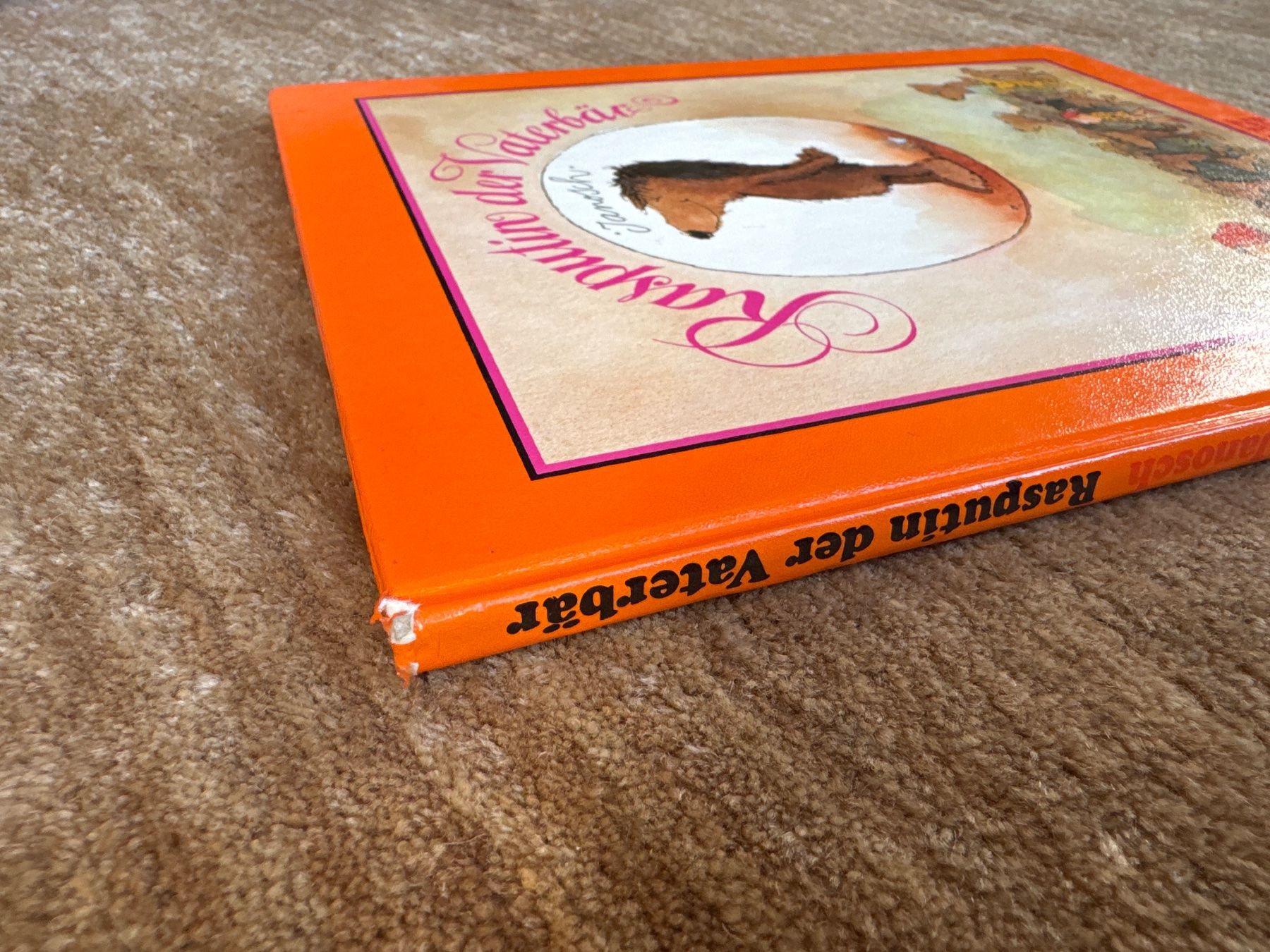 Libri: Janosch - Rasputin der Vaterbär – Usato da Aarau venduto da Kilauea 1
