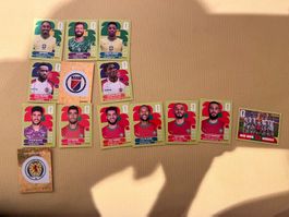 Panini WM 2026 Gruppe C x14