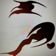 Profile image of ALLERART