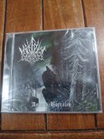 dark forest - aurora...