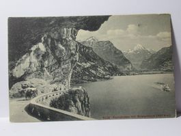 Axenstrasse , Pferdekutsche
