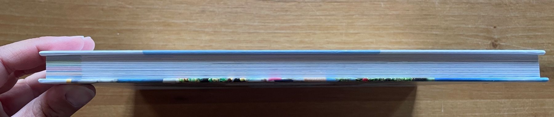 Libri: Themenbuch WAH – Nuovo (secondo la descrizione) da Gümligen venduto da soleil149 3