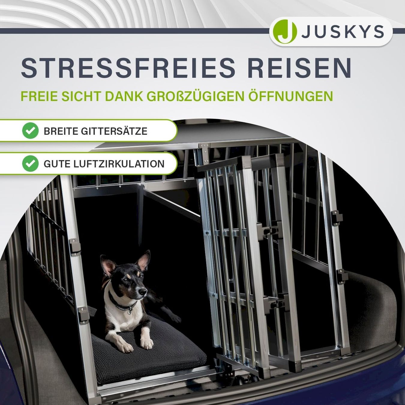 Käfige, Transport & Sicherheit: Sam´s Pet 26963 Hundetransportbox – Neu und originalverpackt aus Bottighofen von zaap 6